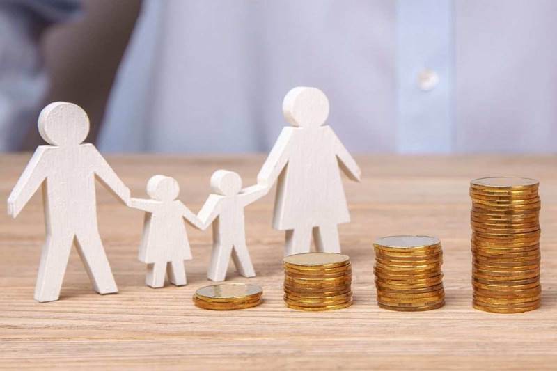 Особенности статуса малоимущих граждан